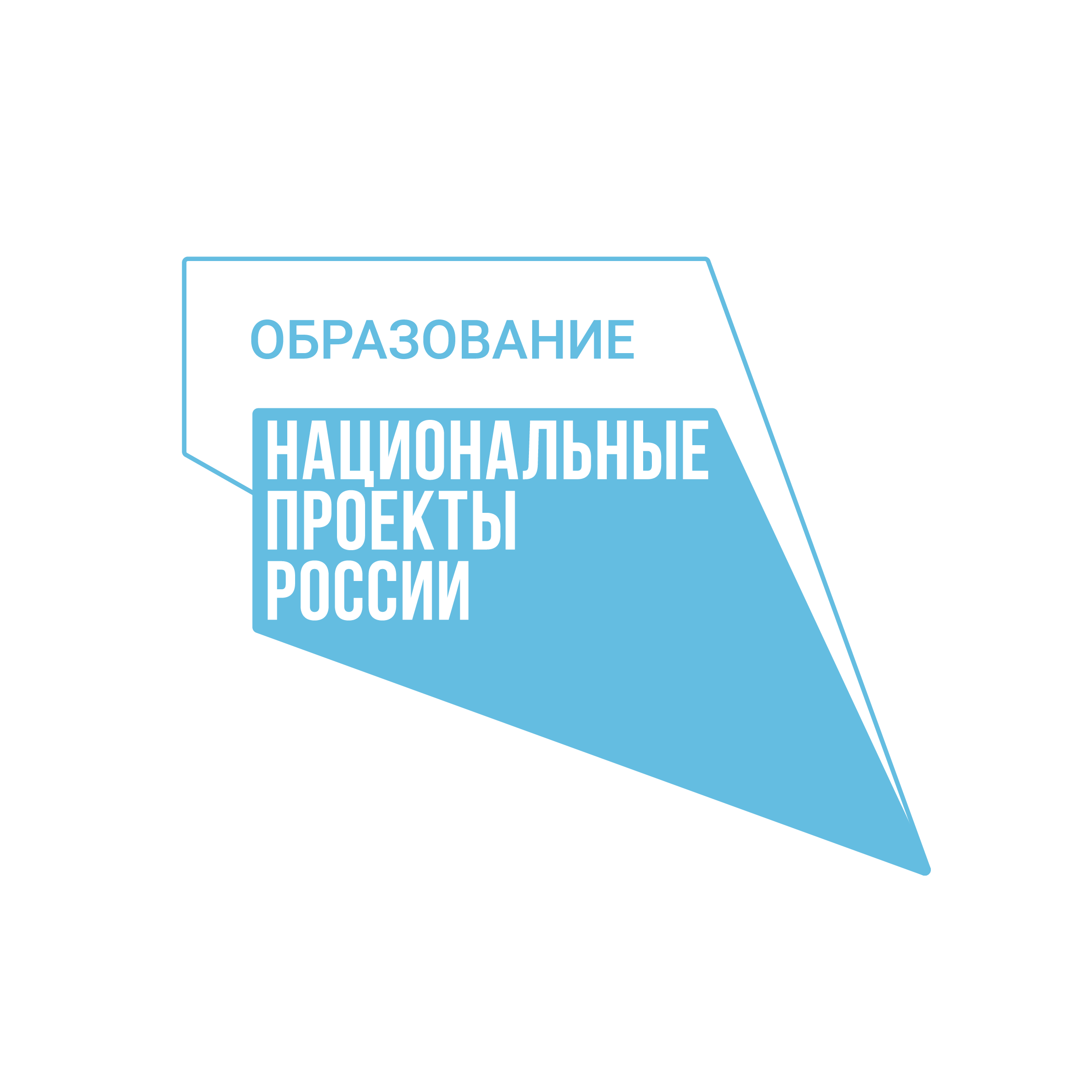 К целевым показателям реализации федерального проекта успех каждого ребенка относится